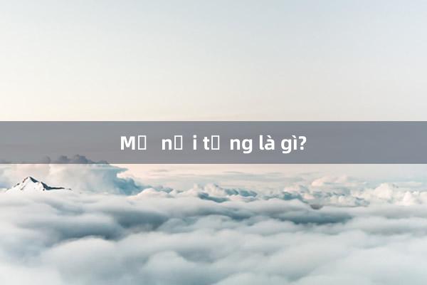 Mỡ nội tạng là gì?