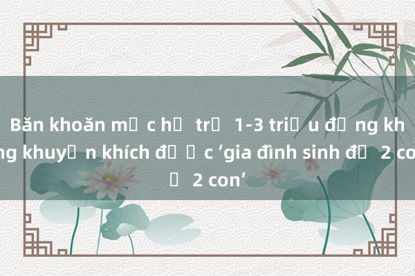 Băn khoăn mức hỗ trợ 1-3 triệu đồng không khuyến khích được ‘gia đình sinh đủ 2 con’