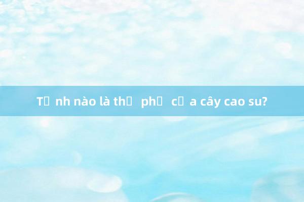 Tỉnh nào là thủ phủ của cây cao su?